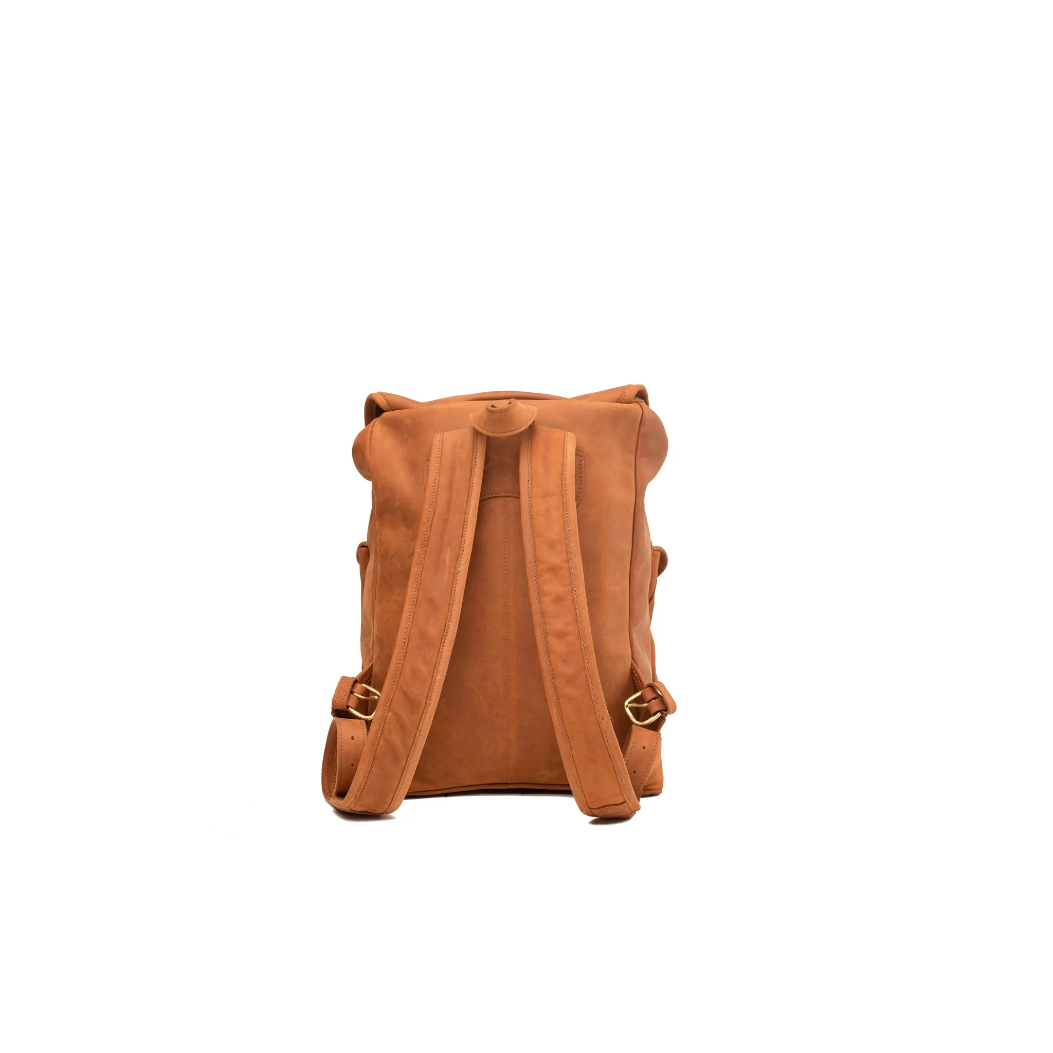Pull-up Leather Moshi Backpack